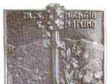 Piccoli cimeli di una grande tragedia 5