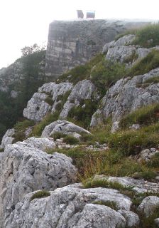 Fortificazione-campale-e-camouflage