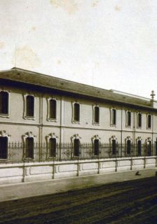 Trivulzio