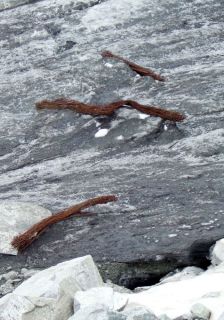I ghiacciai raccontano di clima, guerra e montagne che cambiano